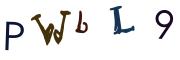 圖片的 CAPTCHA
